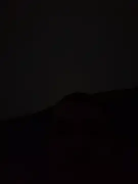 yourflowerpink online show from 1, 12, 2025