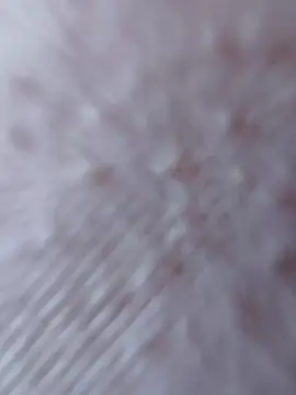 So8nan online show from 21, 9, 2025