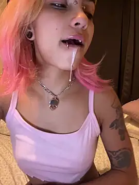 Harley cams online show from 16, 9, 2025