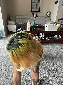 Harley cams online show from 17, 11, 2025