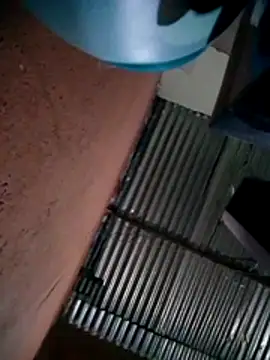 317894 online show from 24, 10, 2025