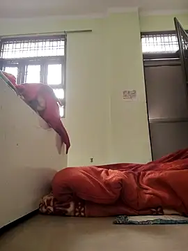 Desi Bhabi 01 online show from 4, 2, 2026