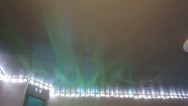 mavismable online show from 3, 2, 2026