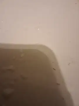 moasslicker online show from 21, 10, 2025