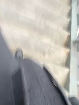 xiaoyuan01 online show from 15, 3, 2026