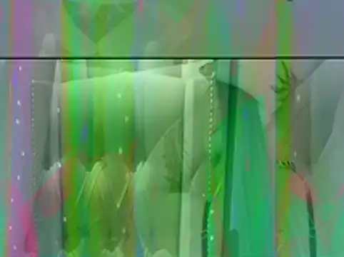 Jcalibwc556 online show from 19, 4, 2026