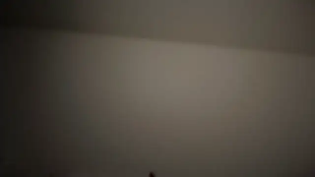 refem9 online show from 25, 4, 2026