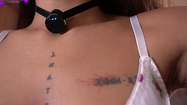 violeth     online show from 11, 3, 2026