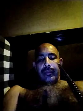 salimbasha online show from 2, 6, 2026