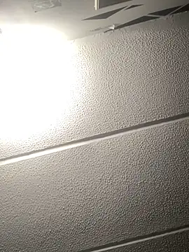 malek xarx  online show from 11, 9, 2025