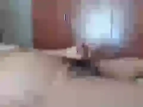 Culazodeantonellarocuzzo online show from 26, 2, 2026