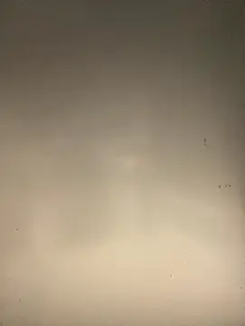 Snapshot of sasatimido chatting on 14, 10, 2025 sasatimido online show from 14, 10, 2025