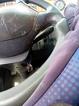 Bob black online show from 13, 4, 2026