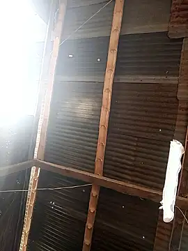 Snapshot of Davir2001 chatting on 27, 2, 2026 Davir2001 online show from 27, 2, 2026