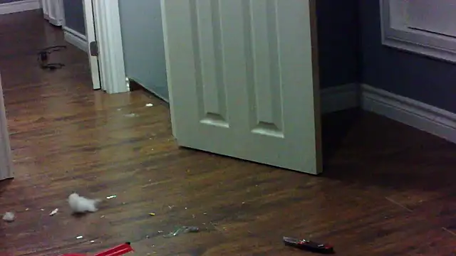 lovemedirty online show from 8, 2, 2026