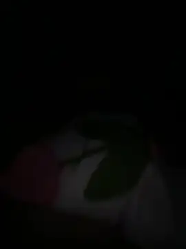 tarantan1993 online show from 5, 3, 2026