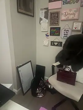 Juicystorm online show from 11, 2, 2026