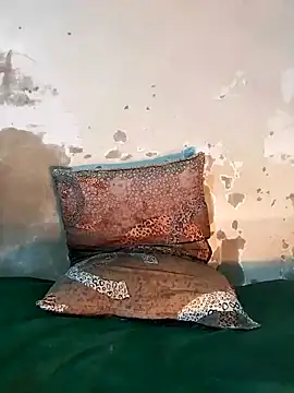 Snapshot of ParousFlow chatting on 18, 12, 2025 ParousFlow online show from 18, 12, 2025