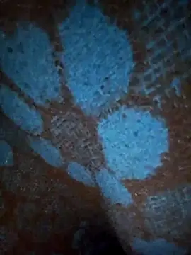 Snapshot of ParousFlow chatting on 19, 1, 2026 ParousFlow online show from 19, 1, 2026