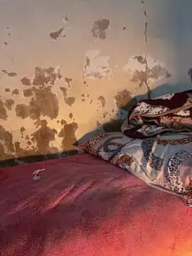 Snapshot of ParousFlow chatting on 14, 3, 2026 ParousFlow online show from 14, 3, 2026