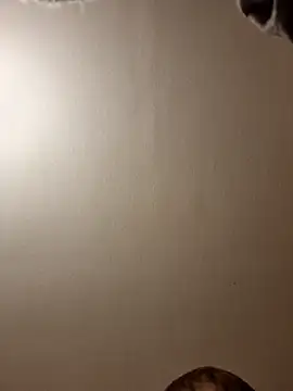 gazb90 online show from 14, 11, 2025