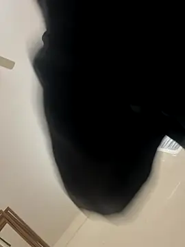 Snapshot of zack6x chatting on 2, 12, 2025 zack6x online show from 2, 12, 2025