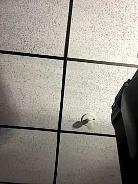 Snapshot of MR_MUSCLE chatting on 19, 9, 2025 MR MUSCLE online show from 19, 9, 2025