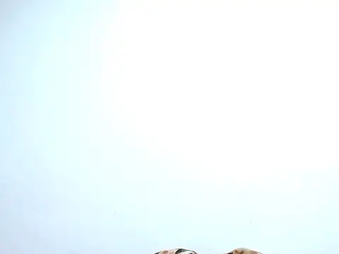 saara johnson496 online show from 30, 10, 2025