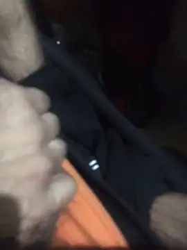 Luigi831 online show from 12, 4, 2026