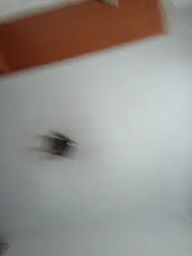 Hottiesophie online show from 25, 3, 2026