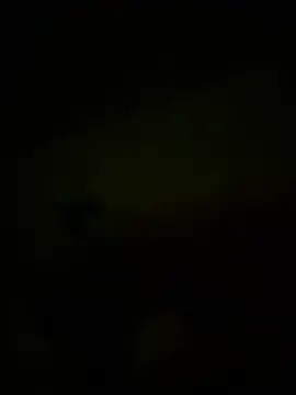 Bogglyyy online show from 14, 4, 2026