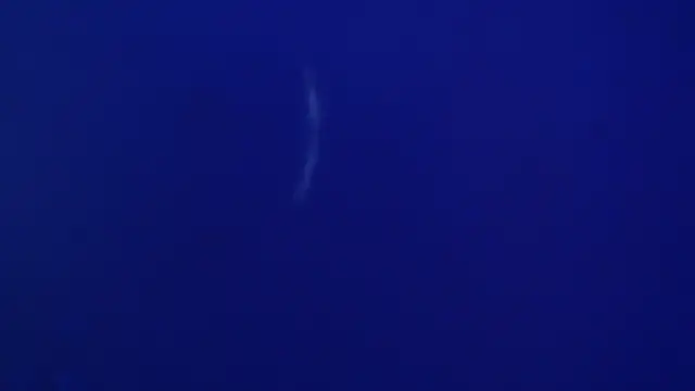 Snapshot of The1BBC chatting on 12, 2, 2026 The1BBC online show from 12, 2, 2026