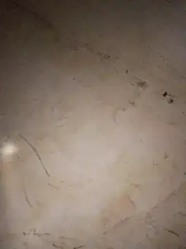 aunty sumy online show from 12, 1, 2026