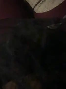 nenad062 online show from 17, 12, 2025