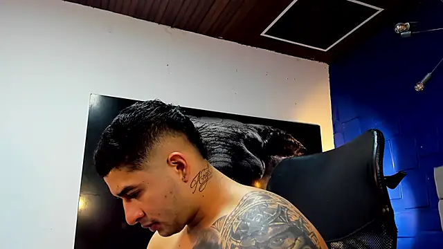 king falconer online show from 19, 11, 2025