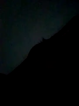 Snapshot of CatchingBouquet chatting on 21, 9, 2025 CatchingBouquet online show from 21, 9, 2025