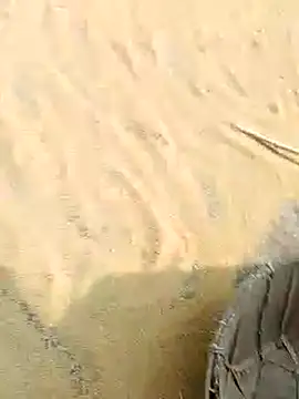 Snapshot of CatchingBouquet chatting on 21, 11, 2025 CatchingBouquet online show from 21, 11, 2025