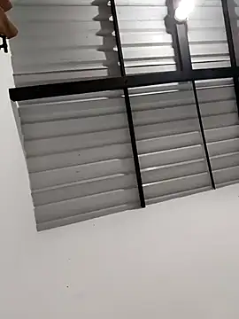 Snapshot of Hiroshi_Shen chatting on 29, 10, 2025 Hiroshi Shen online show from 29, 10, 2025