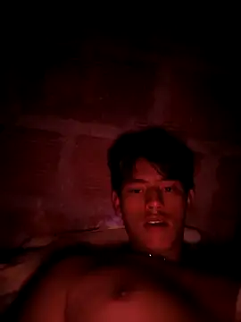 Snapshot of Hiroshi_Shen chatting on 4, 4, 2026 Hiroshi Shen online show from 4, 4, 2026