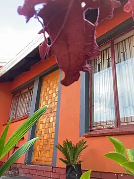 BaggyDirt online show from 24, 2, 2026