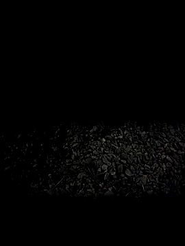 steelwoodVids online show from 19, 11, 2025