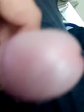 guridosul051 online show from 13, 11, 2025