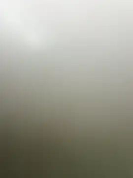 guridosul051 online show from 20, 4, 2026