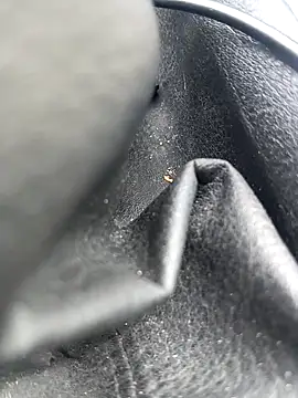 legaros online show from 3, 4, 2026