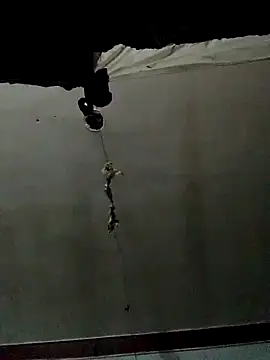 Luk909090 online show from 20, 10, 2025