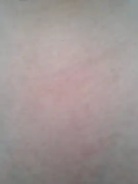 Snapshot of BigBoobs186 chatting on 20, 10, 2025 BigBoobs186 online show from 20, 10, 2025