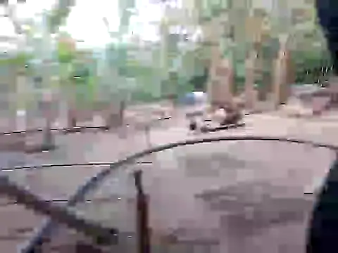 Snapshot of BigBoobs186 chatting on 10, 11, 2025 BigBoobs186 online show from 10, 11, 2025