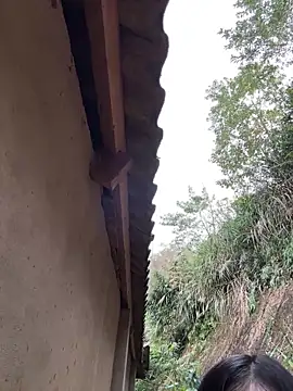 Snapshot of ThiHa003 chatting on 27, 2, 2026 ThiHa003 online show from 27, 2, 2026