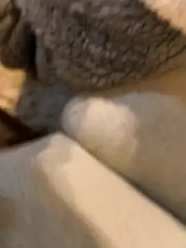 boy8540 online show from 19, 1, 2026