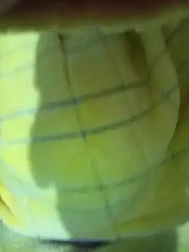 Snapshot of Hnonasix89 chatting on 24, 11, 2025 Hnonasix89 online show from 24, 11, 2025